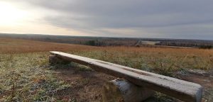 IMG_20191211_120241-600x288